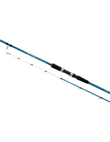 Καλάμι Ψαρέματος Shimano Alivio Quiver (50-150gr)