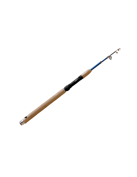 Καλάμι Ψαρέματος Mitchell Premium t (5-15gr)