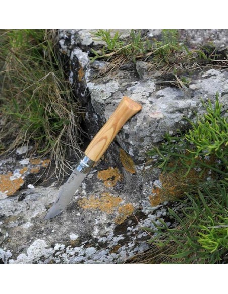 Σουγιάς Opinel Inox Ελιά (Κουτί) Νο9
