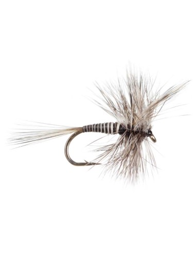 Μυγάκια Fly Flies Mosquito
