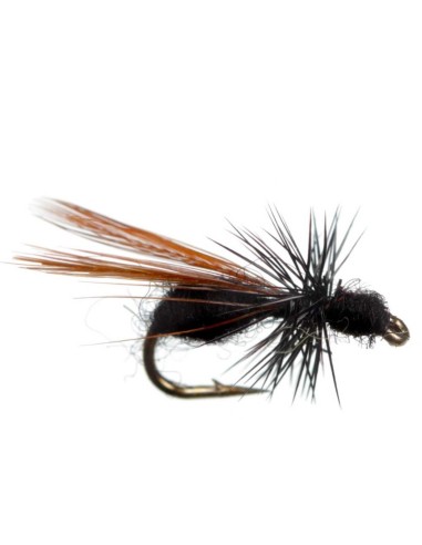 Μυγάκια Fly Flies Flying Ant Black