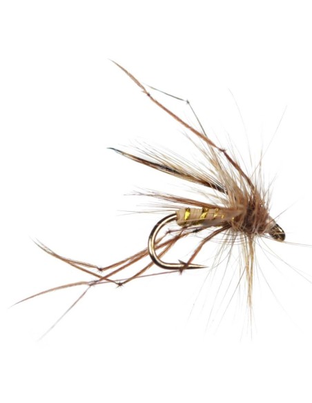 Μυγάκια Fly Flies Daddy Long Legs