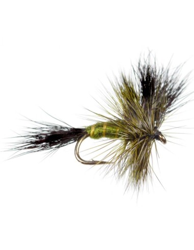 Μυγάκια Fly Flies Drake Green
