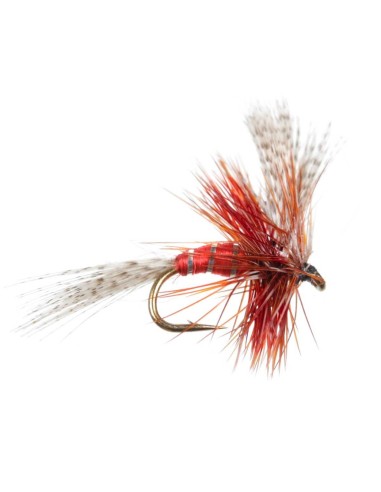 Μυγάκια Fly Flies King Of Waters