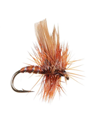 Μυγάκια Fly Flies Cowdung