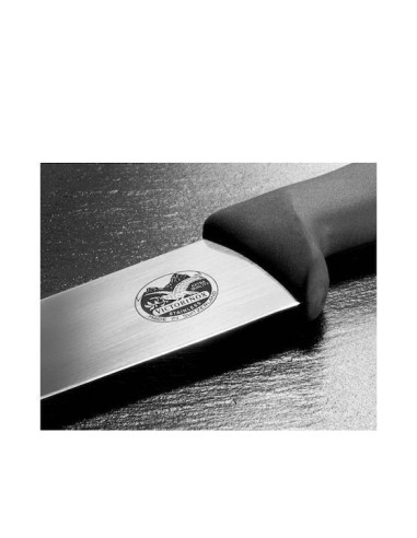 Μαχαίρι Victorinox Κρεοπωλείου Πλαστική Λαβή